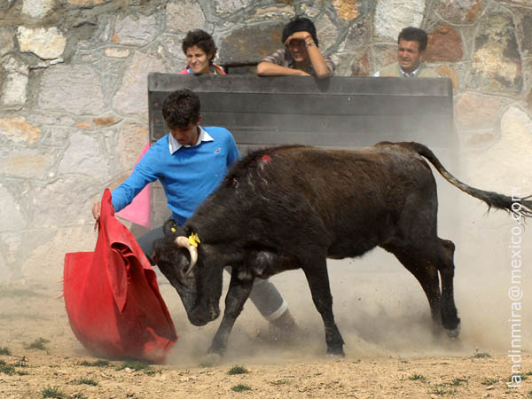 Ense��ndole a embestir