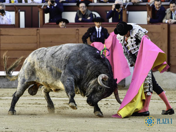 Entregado en las ver�nicas