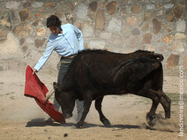 Faena de muleta