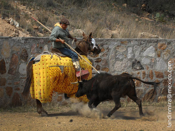 La vara de Pollo Mel�ndez