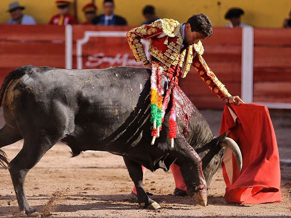 Logr� Descifrar al 