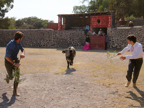 Particular manera de tentar