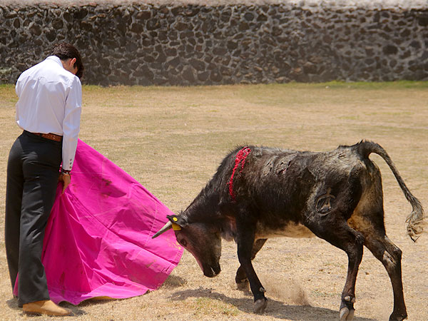 Perera se gusto en Maravillas