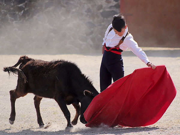 Antonio P�rez torero de casa