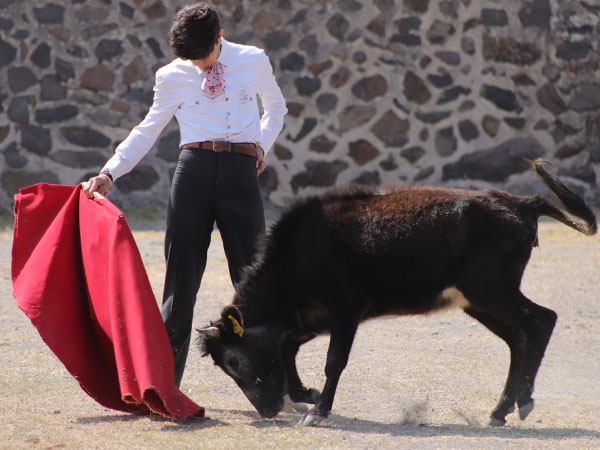 Manuel con reposo y expresi�n