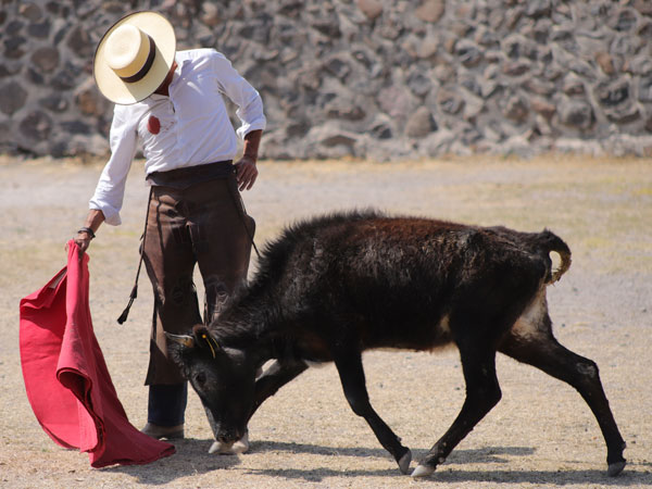 El Torero Azteca
