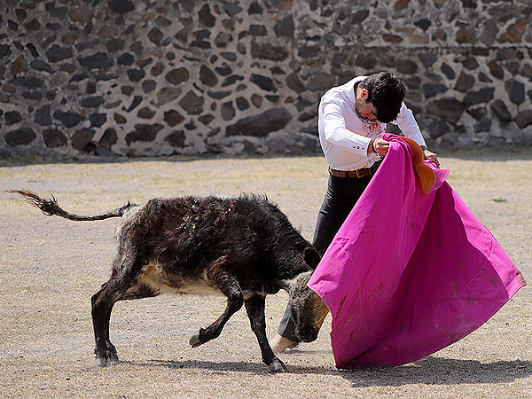 Variado y pinturero Perera