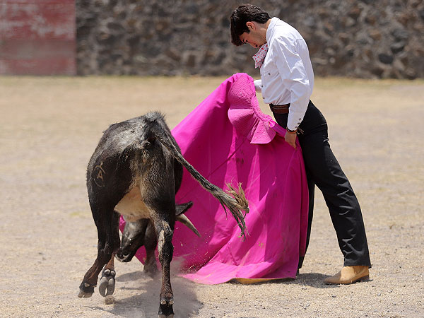 Tarde de arte grande