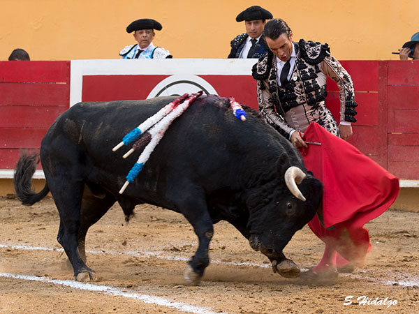 Finito, tarde para el olvido