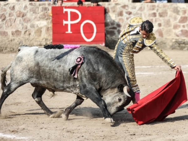 Tirando del c�rdeno