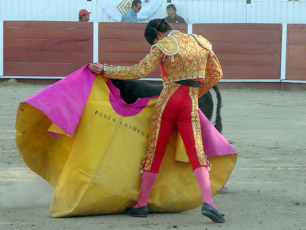 Encajando los ri�ones