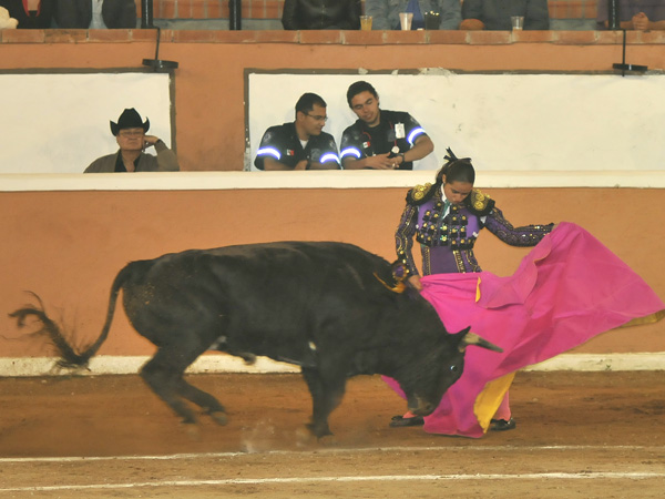 Toreando a la ver�nica