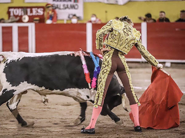 Tirando del berrendo