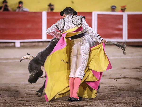 Las chicuelinas de Alejandro