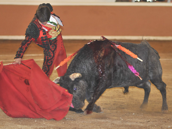 Llev�ndolo muy toreado