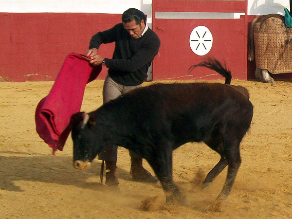 Elegancia del tapat�o