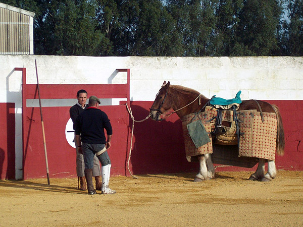 A punto de iniciar la tienta