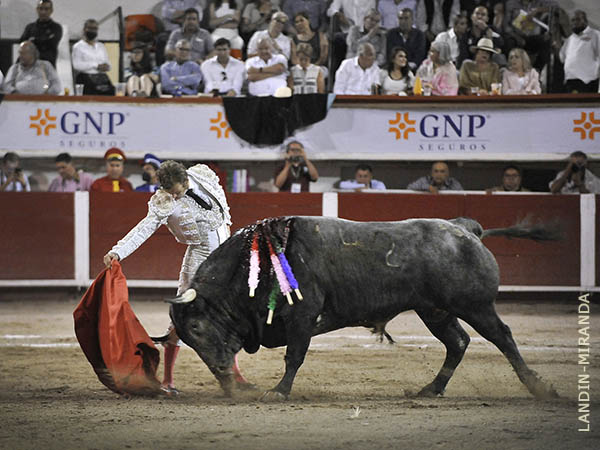 Voluntad de triunfo grande