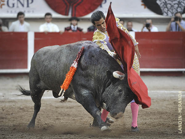 En el gusto de la afici�n de AGS