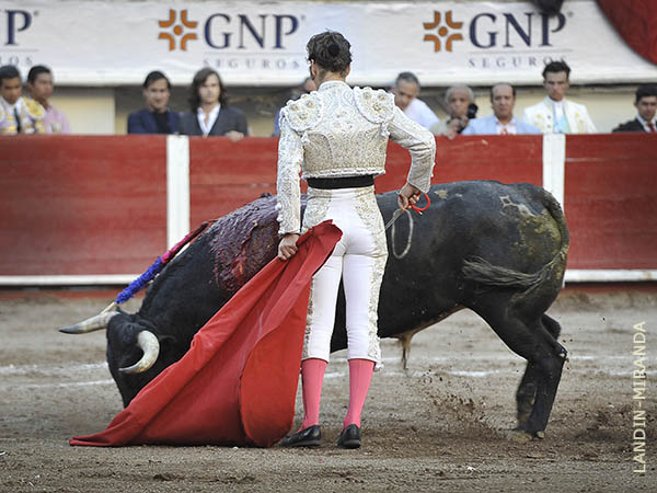 Desmayando la muleta