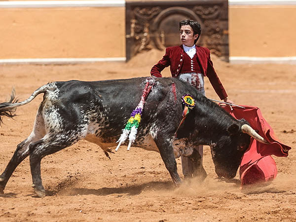 La mirada al infinito