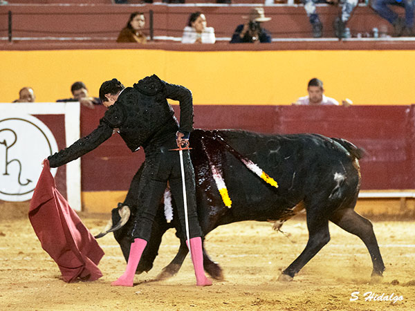 Metido en la muleta