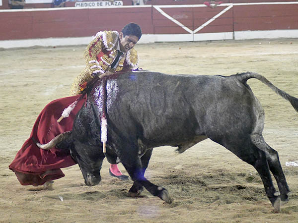 Ca��n en el brazo