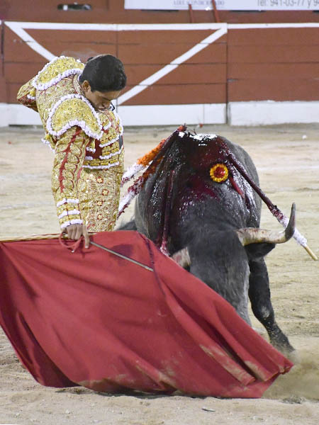 Probaturas por el derecho