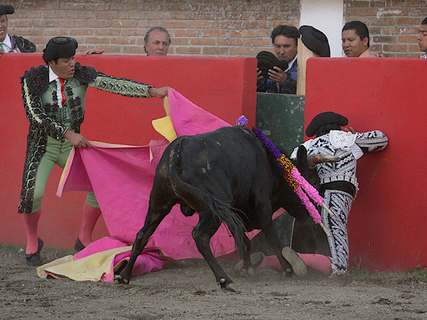 No hay enemigo peque�o