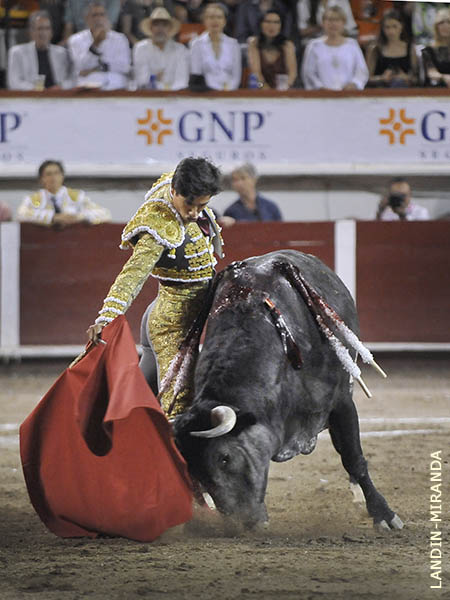 Una faena fresca, de torero joven