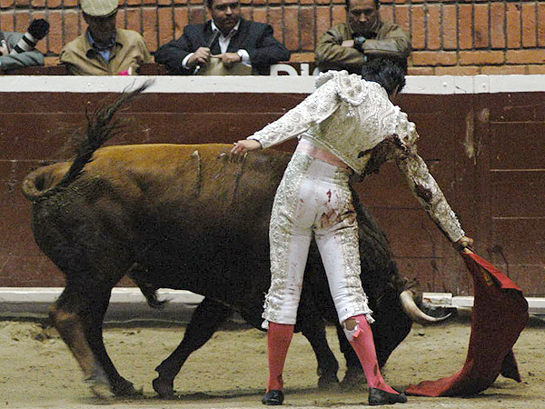 Los mejores momentos