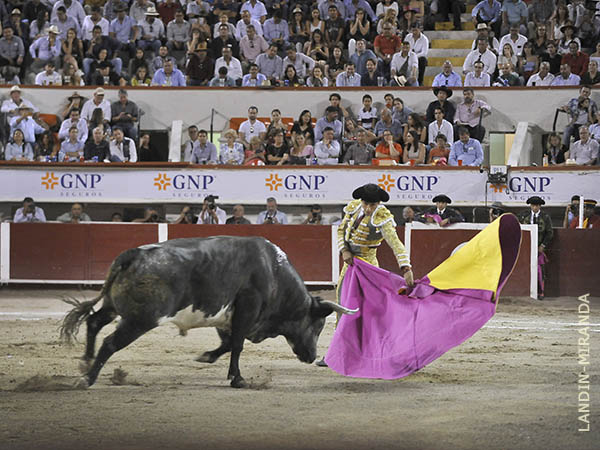 Luis David, zapopinas con sello