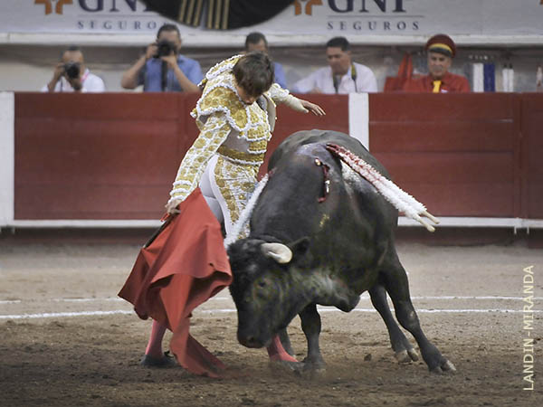 Faena de sentimiento y calidad