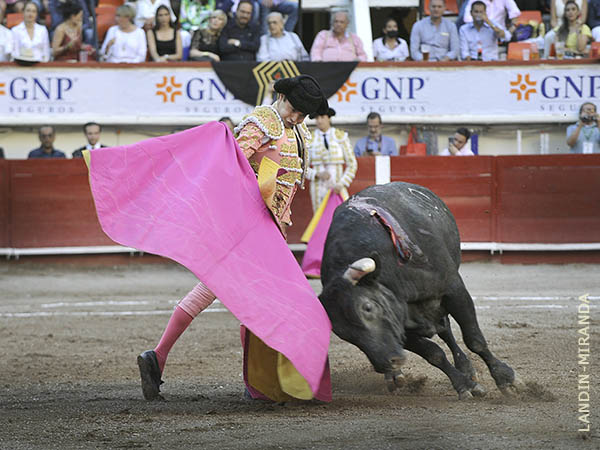 Variedad en el quite