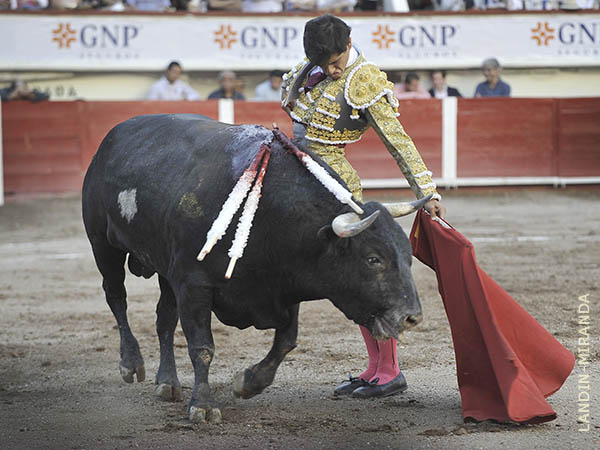 La cara a media altura