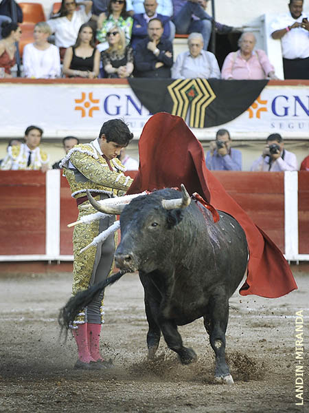 Inicio de faena en los medios