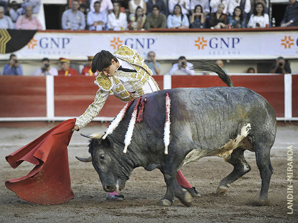 Tirando del c�rdeno y del oficio