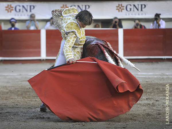 En el gusto hidroc�lido