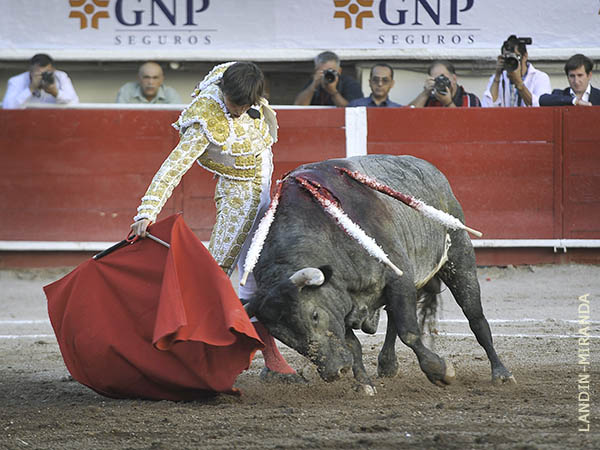 Dominio de las alturas