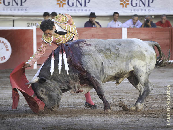 Cuaj� una gran faena