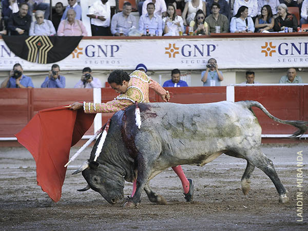 Caricia, colocaci�n y ritm�