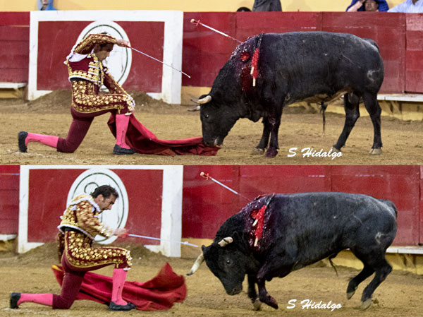 Peculiar descabello de El Fandi