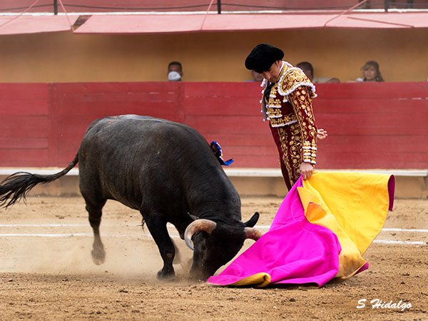 Soltando la punta del capote