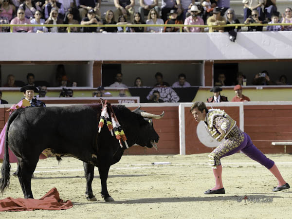 Figura de clase mundial