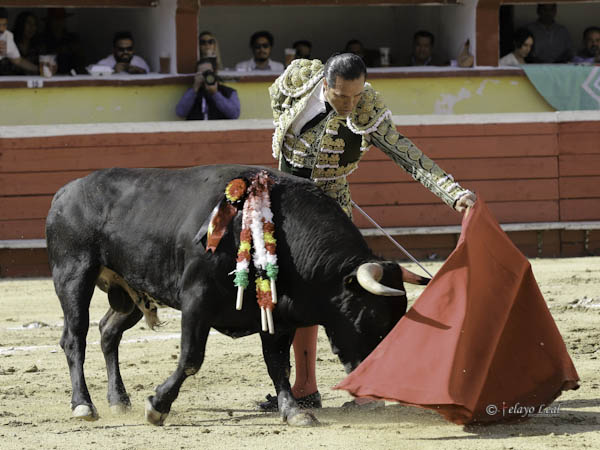 Asolerados naturales