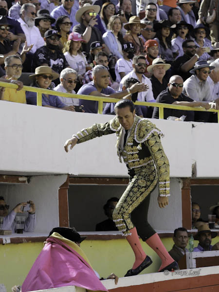 Alarde de facultades