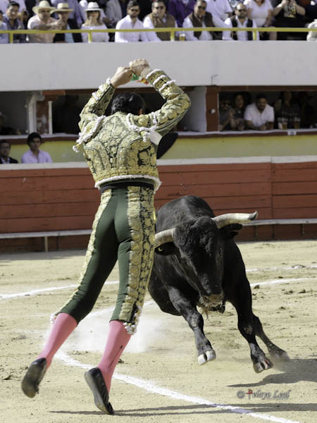 Maestro en banderillas