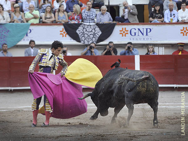 Las zapopinas de Leo