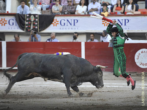 Magn�fico par de Ale Prado