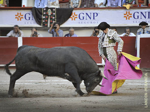 Torero de fondo largo